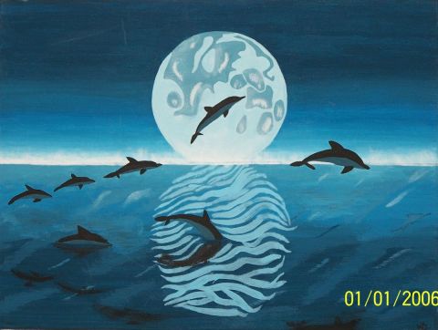 dolfin paradise
